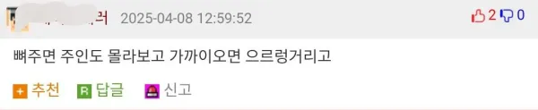 개 키워 본 사람들은 공감하는 것