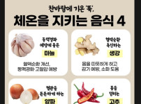26년 14일 수요일 생활팁