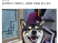 과분한 사랑을 받고 있다