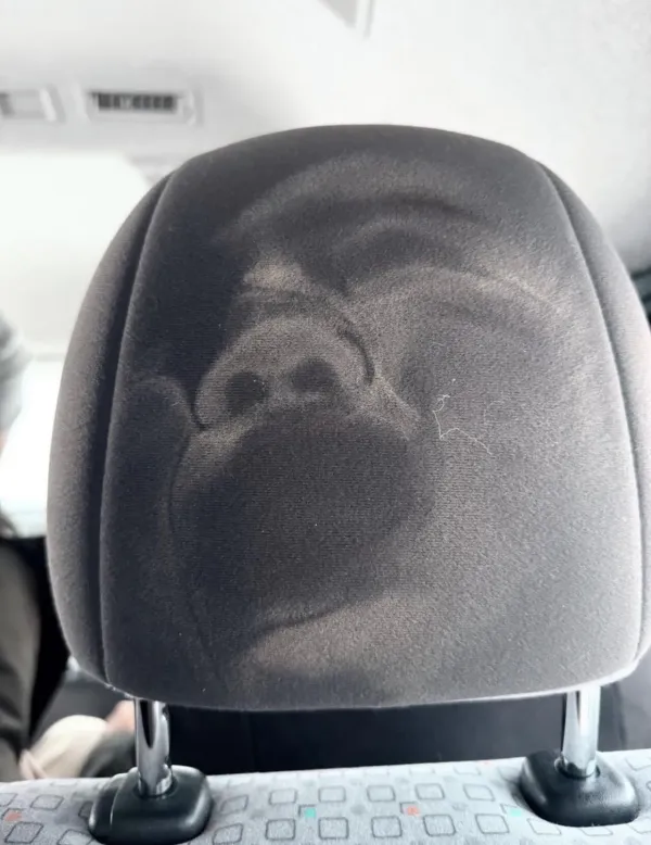 자동차 사고 난 뒤, 뒷좌석 상황 ㅋㅋ