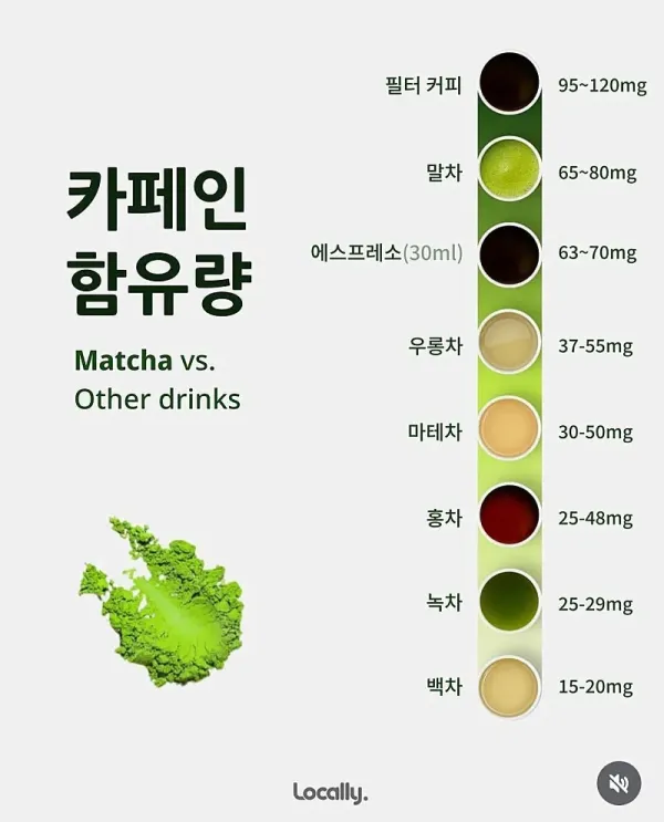 말차 vs 녹차 차이점