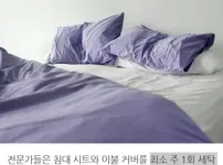 이불 베개 이 정도 안 빨면 변기보다 더럽다