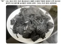 놀랍게도 컬러사진