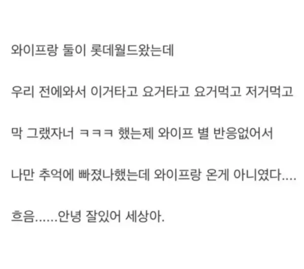 롯데월드 대참사 ㄷㄷ