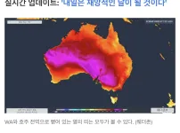 현재 ㅈ됐다는 호주 근황