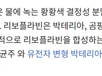 부침가루의 성분을 파헤쳐보자
