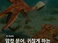 싱글벙글 문어가 찝쩍대는 수컷을 대하는 법