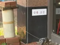 공룡 조심