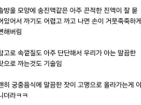 의외로 잘 모르는 잣 본래 모습