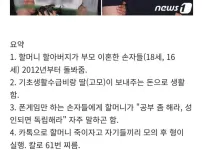 할머니 살해한 손자들