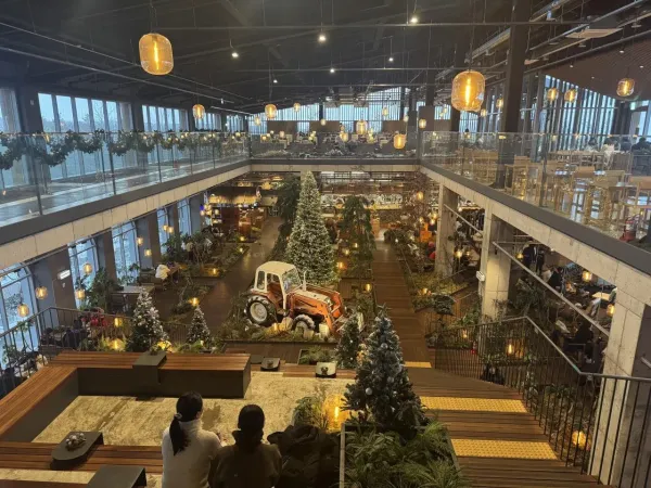 제주도 출장중 찍은 사진