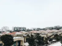 제주도 출장중 찍은 사진