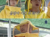 알고보면 슬픈 여왕벌의 삶
