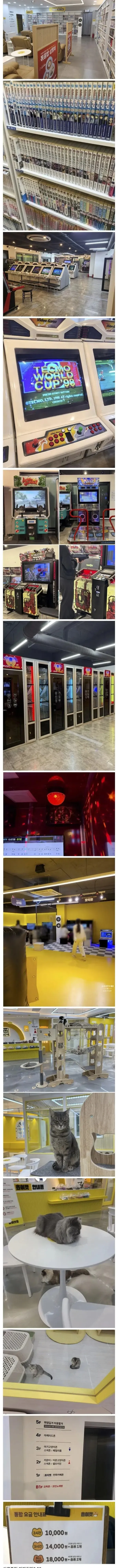 2시간 이용료 10,000원짜리 카페