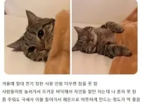 몸에 열이 많은 사람들 특징