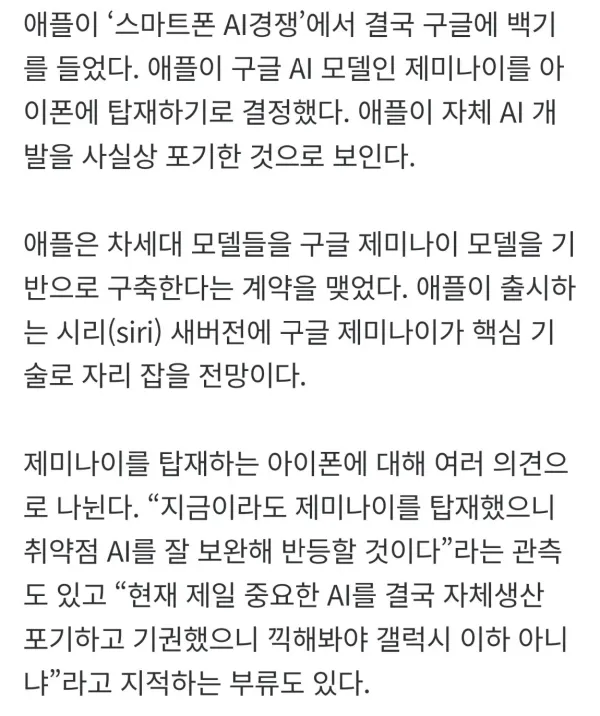 결국 구글에 백기든 애플