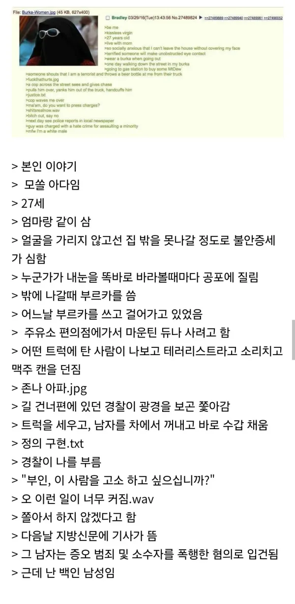 대인기피증 때문에 부르카 쓰고 나가본 사람