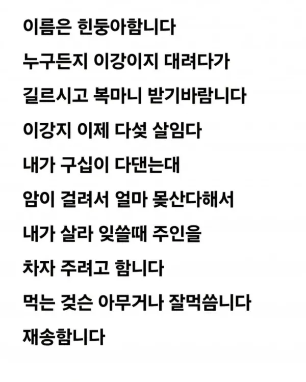 공중화장실에 강아지 유기한 할머니