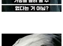 110만원주고 인터넷 경매로 가방 샀던 사람의 최후