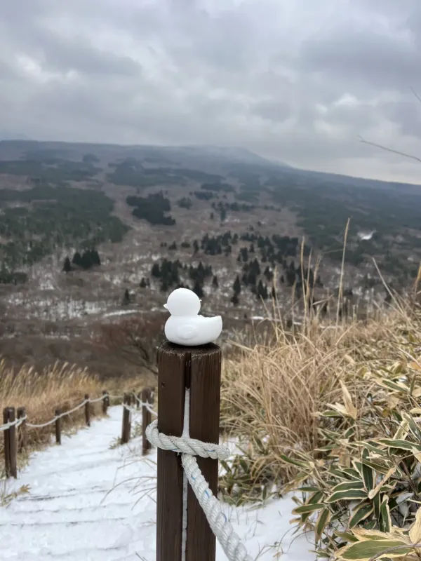 오늘 한라산은 입산 금지