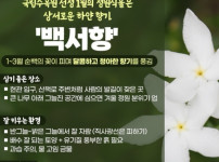 1월 23일 생활꿀팁스.