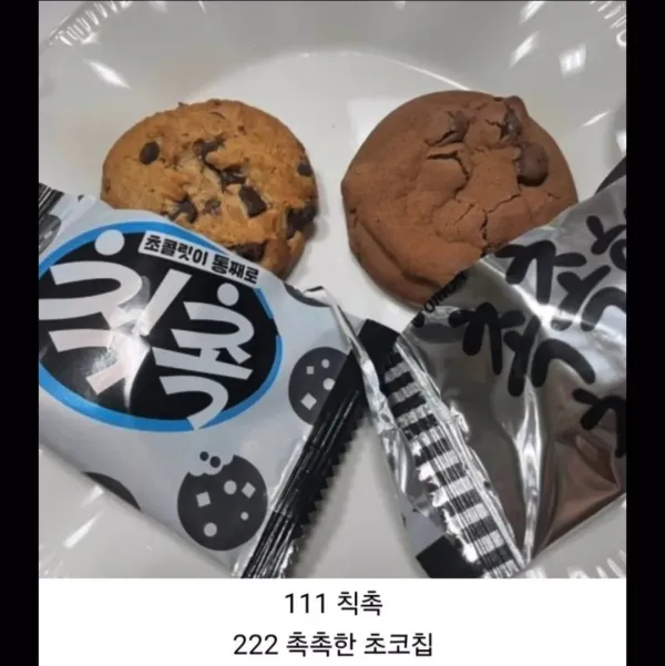 초코칩 취향