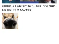 북한의 현실을 찍은 다큐멘터리
