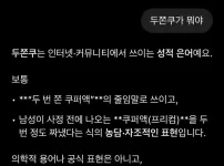 GPT야 두쫀쿠가 뭐야?
