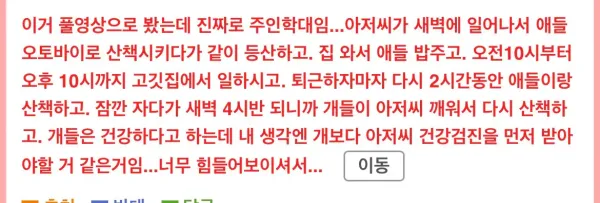학대 논란이 있는 허스키 견주