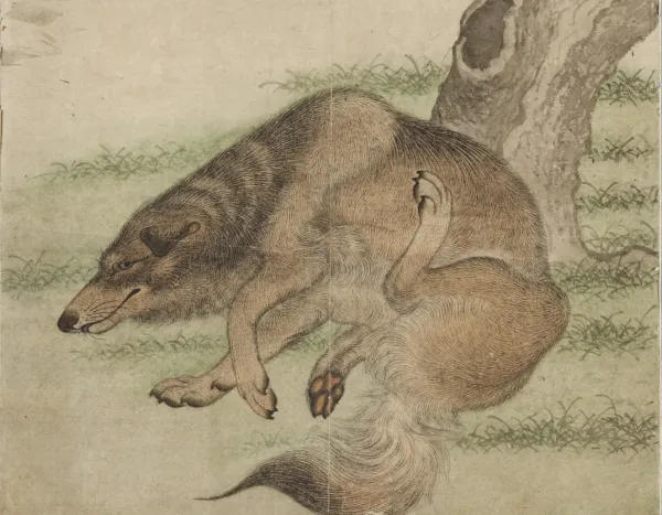 조선시대 개와 강아지 그림