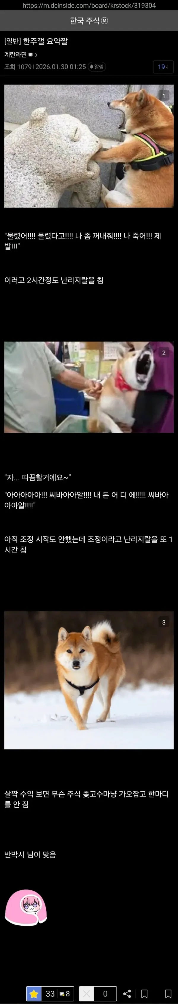 한국 주식갤 요약 짤....