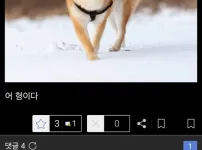 한국 주식갤 요약 짤....