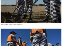 미국 여자 교도소 실태