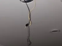 진짜 어떤새끼일까