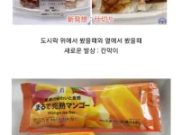 일본 과소포장 수준