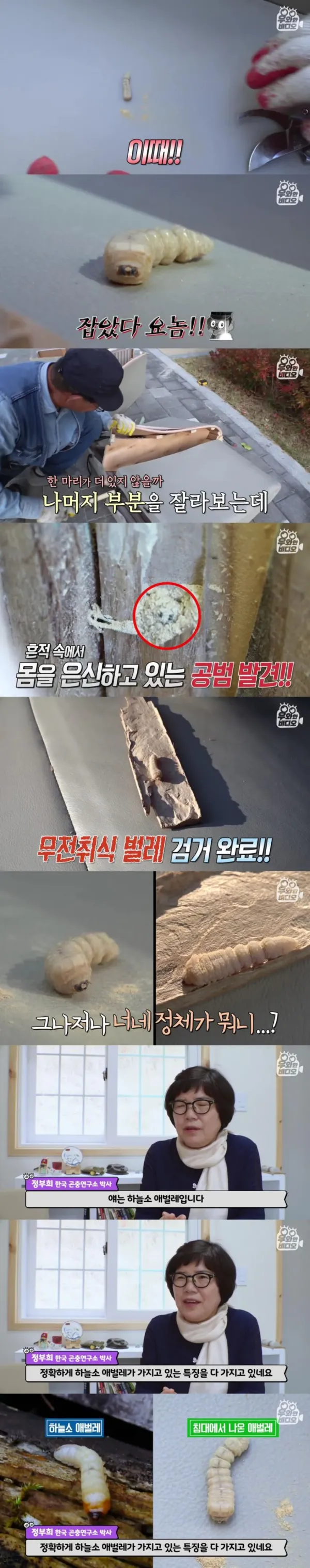 침대에서 이상한 소리가나서 침대를 분해했는데요