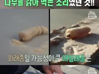 침대에서 이상한 소리가나서 침대를 분해했는데요