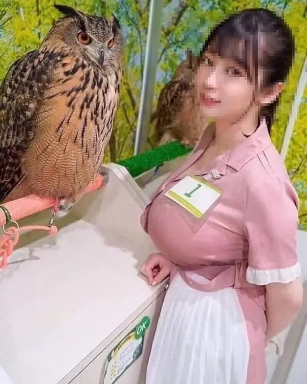 부엉이 크기 체감