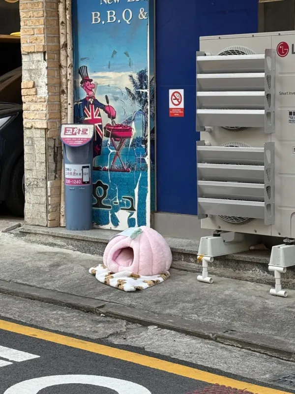 길냥이 캣맘에 대한 점주의 경고문