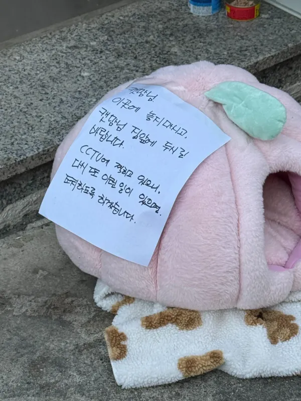 길냥이 캣맘에 대한 점주의 경고문