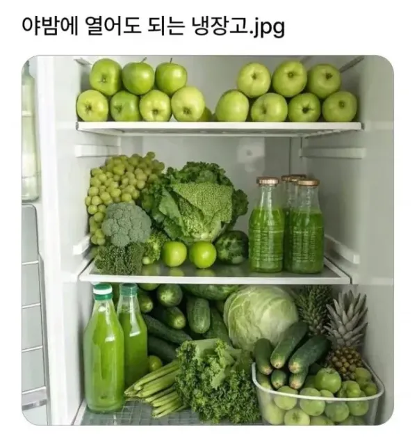 야밤에 열어도 된다는 냉장고