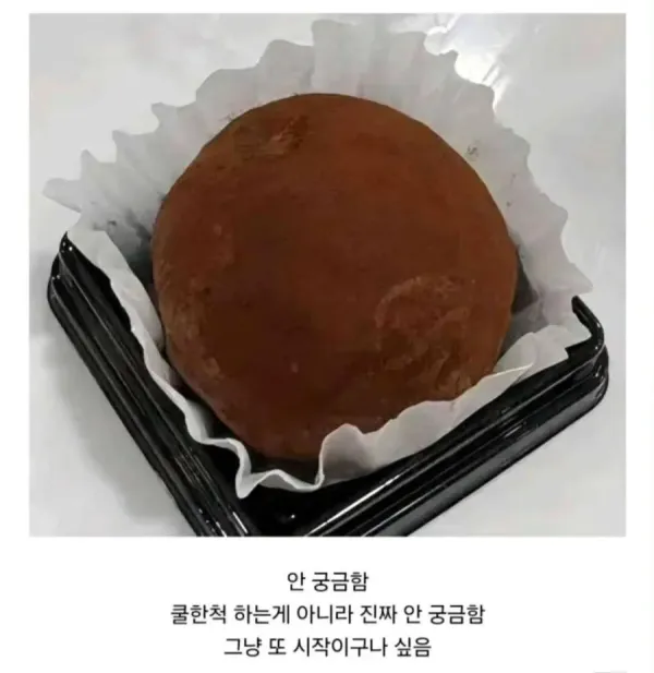 유행에 무감한 사람들 반응
