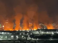 울산 태화강 억새밭 화재