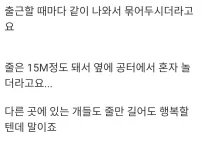 동네 철물점에 묶여있는 강아지