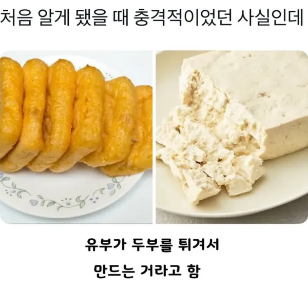 처음 알았을 때 꽤 충격이었던 사실
