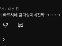 임성근 음주운전 사과문 게시물 댓글 레전드 ㅋㅋ