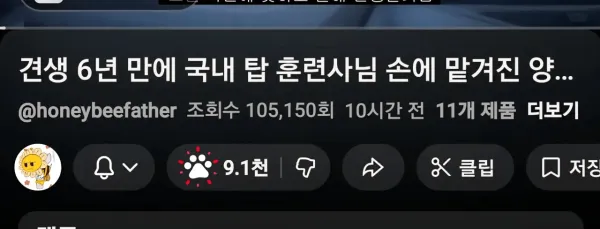유튜브에 추가된 개추 시스템 ㄷㄷㄷ