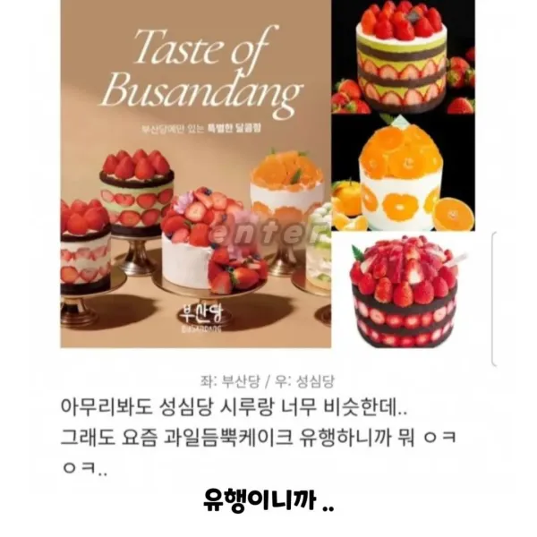 부산에 새로 생긴 부산당
