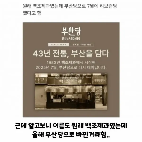 부산에 새로 생긴 부산당