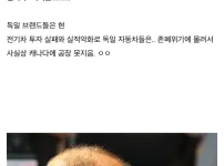 잠수함때문에 난감한 상황에빠진 현대차